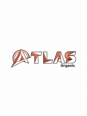 Graphix Logo Design 13