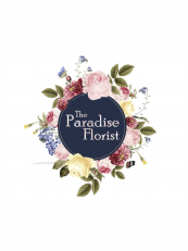 Graphix Logo Design 8