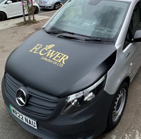 Graphix Vehicle Graphic 3